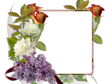 Fotomontaje con rosas blancas y rojas Fotomontaje con rosas blancas y rojas