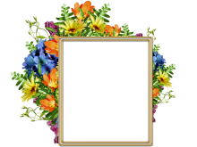 Lindo marco para fotos con diversas flores bonitas Lindo marco para fotos con diversas flores bonitas