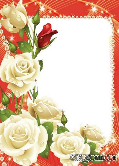 Marco de foto con rosas blancas
